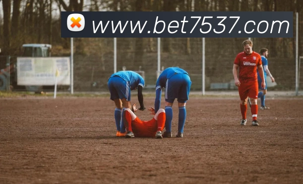 bet365comAPP 封面图